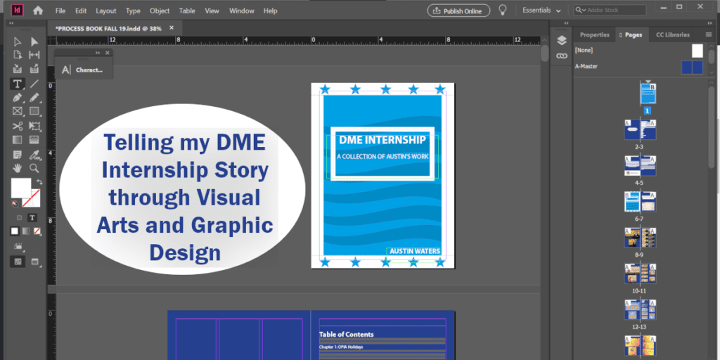 Telling my DME Internship Story through Visual Arts and Graphic Design