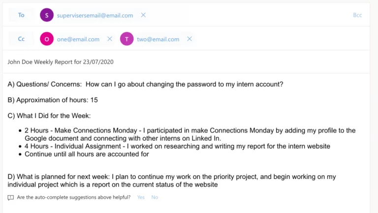 Weekly Report Example